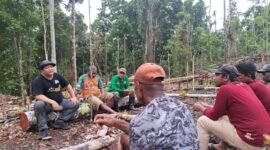 Plt. Kepala Dinas Perkebunan Fakfak Widhi Asmoro Jati, ST.,MT., bersama Ketua Yatefa Amirudin Tuturop ikut melakukan pendampingan terhadap Kelompok Petani Temonggkwaha dalam rangka pembukaan lahan seluas 2 hektare dan penanaman 1.200 bibit Kopi Robusta di kampung Sipatananam.