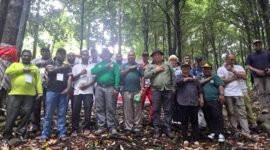 15 Pekebun Teluk Bintuni lakukan Kunjungan ke penangkaran pala Prima Karya, langkah strategis untuk membangun kapasitas pekebun lokal.