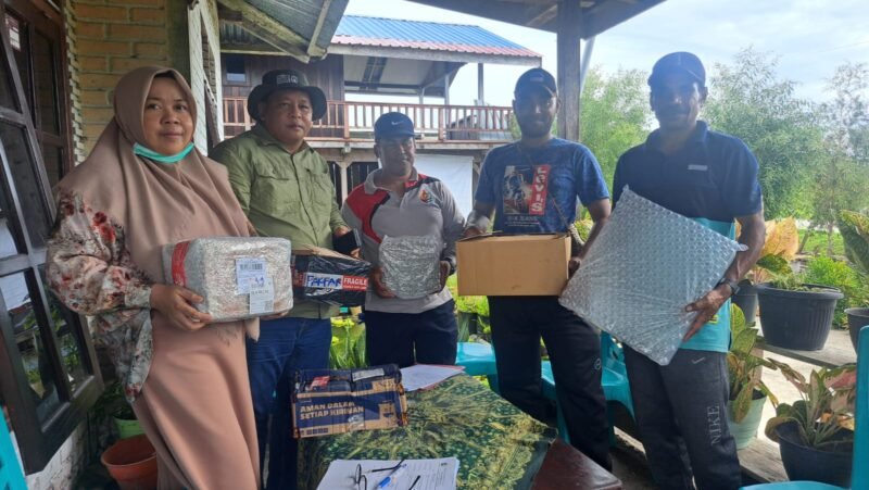 Plt. Kepala Dinas Perkebunan Fakfak, Widhi Asmoro Jati  bersama Perwakilan PT. RSP, Anang Sudirman memberikan bantuan program Corporate Social Responsibility (CSR) berupa 500 kg pupuk yang didistribusikan kepada pekebun lada, kopi, tebu, serta mendukung pengembangan minyak kayu putih di Distrik Bomberay dan Distrik Tomage.