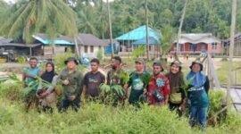 Ketua Pemuda Kampung Saharey, Iwan Manggawa bersama karang taruna saharey di fasilitasi oleh Dinas Perkebunan berupaya mewujudkan Kampung Saharey sebagai Permukiman Kampung Pinang. Langkah awal yang dilakukan, penanaman sebanyak 300 pohon pinang di sepanjang jalan lingkungan permukiman Kampung Saharey.