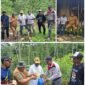 Plt. Kepala Dinas Perkebunan Fakfak Widhi Asmoro Jati, ST., MT., mengunjungi kebun milik Bapak Niko Genuni di Kampung Torea Atas guna memberikan pendampingan terkait teknik penyulaman yang benar.