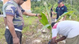 Perwakilan Dinas Perkebunan Fakfak, Constantinus Uswanas, S.ST, menyerahkan bibit kelapa kepada Ketua Dewan Stasi St. Marselus, Samuel Patiran dalam kegiatan Gerakan Tanam Kelapa Hibrida di lingkungan gereja.
