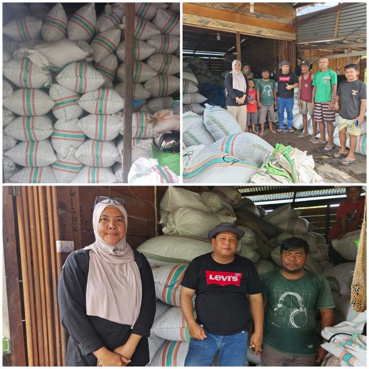 Plt. Kepala Dinas Perkebunan Kabupaten Fakfak, Widhi Asmoro Jati, ST, MT, saat melakukan peninjauan ke sejumlah lokasi usaha perdagangan pala antar pulau pada.