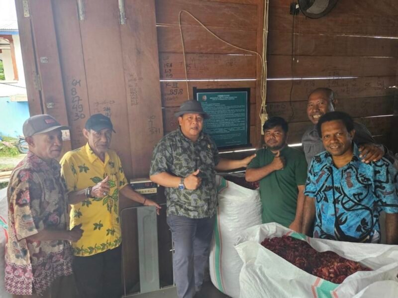 Plt. Kepala Dinas Perkebunan Fakfak, Widhi Asmoro Jati, ST, MT., didampingi perwakilan MPIG-PTF, Safi Yarkuran memberikan edukasi kepada pelaku usaha pala pemasangan pamflet berisi himbauan untuk menjaga mutu dan kualitas pala.