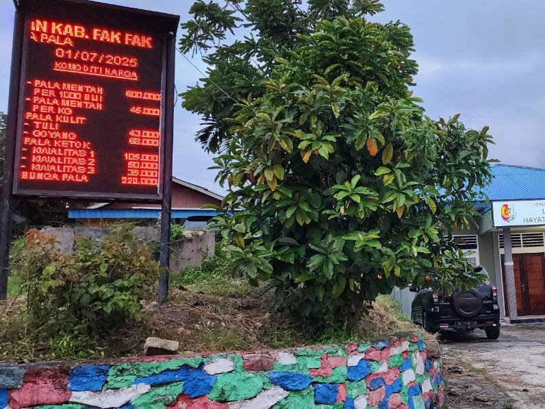 Pantauan Informasi Harga Komoditi Pala secara Real Time Per 1 Juli 2025. 