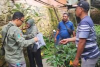 Balai Besar Perbenihan dan Proteksi Tanaman Perkebunan (BBPPTP) Ambon sertifikasi benih Pala Tomandin Fakfak.