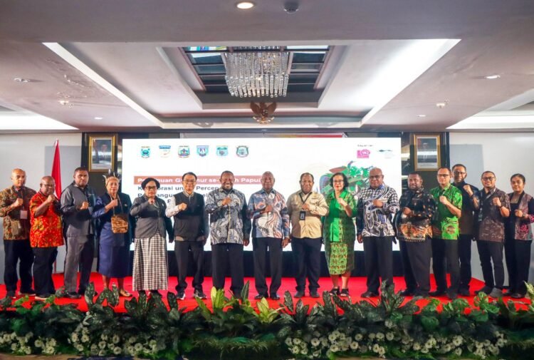 Pemerintah provinsi atau pemprov se-Tanah Papua mendeklarasikan pengelolaan kolaboratif untuk percepatan pembangunan berkelanjutan.(foto: jubi.com)