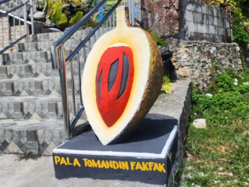 Ikon Selfie Buah Pala Tomandin di lingkungan kantor Dinas Perkebunan Fakfak, simbol kebanggaan daerah sekaligus penguat identitas Fakfak.