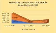 Retribusi Pala Februari 2026 Tembus Rp 98,9 Juta, Kualitas Pala Kabupaten Fakfak Tetap Terjaga Meski Produksi Statis
