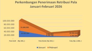 Penerimaan PAD komoditas pala di Kabupaten Fakfak sepanjang Februari 2026 tercatat mencapai Rp 98.970.000.