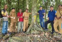 Tim gabungan Balai Besar Perbenihan dan Proteksi Tanaman Perkebunan Ambon bersama Dinas Tanaman Pangan, Hortikultura dan Perkebunan Provinsi Papua Barat bersama Dinas Perkebunan Fakfak melakukan evaluasi menyeluruh terhadap delapan kebun benih BPT dan tiga unit penangkar pala Tomandin sebagai bagian dari penyusunan rencana aksi hilirisasi pala di Fakfak.