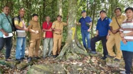 Tim gabungan Balai Besar Perbenihan dan Proteksi Tanaman Perkebunan Ambon bersama Dinas Tanaman Pangan, Hortikultura dan Perkebunan Provinsi Papua Barat bersama Dinas Perkebunan Fakfak melakukan evaluasi menyeluruh terhadap delapan kebun benih BPT dan tiga unit penangkar pala Tomandin sebagai bagian dari penyusunan rencana aksi hilirisasi pala di Fakfak.